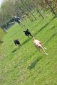 Afb_20170407w (8)